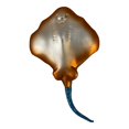 thumbnail image 6 of Blue Spotted Stingray Polish Blown Glass Christmas Ornament  Tree Decoration, 6 of 6