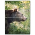 thumbnail image 1 of Picture-Tiles.com: Bear Ceramic Tile Wall Mural WAL500116-34S. 12.75"W x 17"H using (12) 4.25" x 4.25" Ceramic Tiles-Satin Finish, 1 of 3