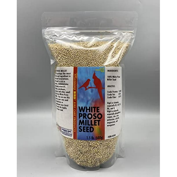 Morning Bird White Proso Millet Seed, Healthy Bird Food, Nutritious