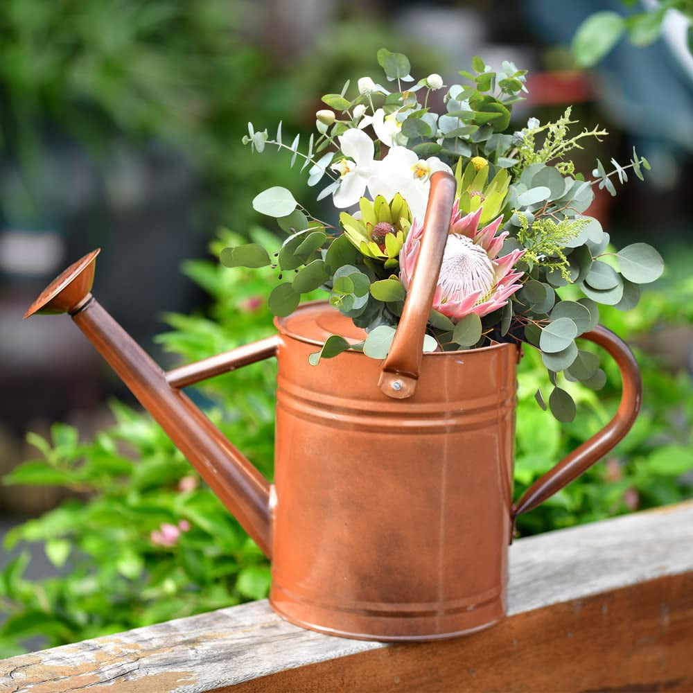 Metal Watering Can for Outdoor and Indoor Plants, Watering Can Decor, 1 Gallon - 001 COPPER