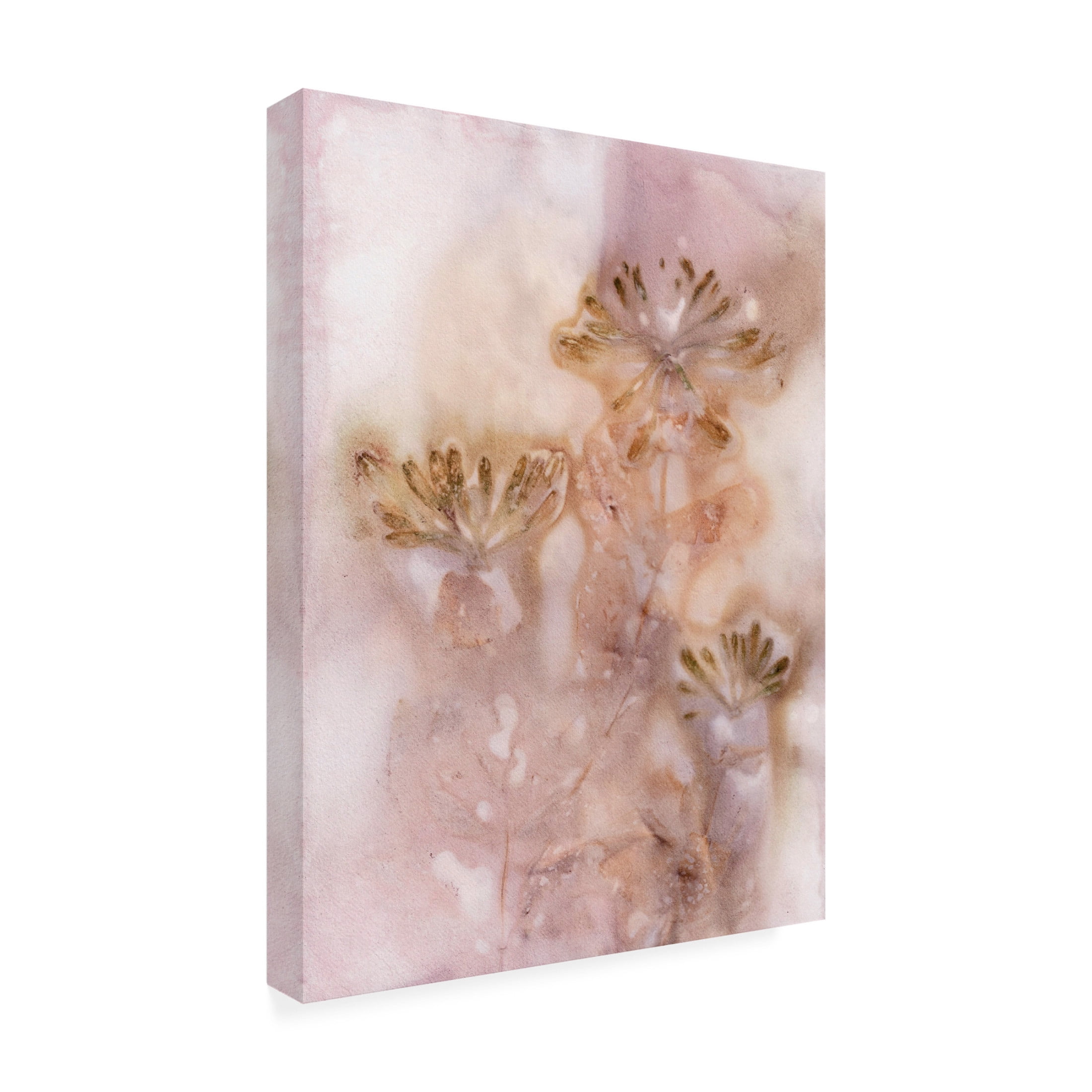 Canvas Wall Art - Pernille Folcarelli 'Honeysuckle Golden Rose' Wall Art for Living Room, Bedroom, or Office Décor by Trademark Fine Art - 35 x 47 Inches