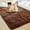 Brown, variant on Noahas Soft Fluffy Area Rug for Living Room Bedroom Shaggy Accent Carpets for Kids Girls Rooms Pink, 5 x 8 Feet