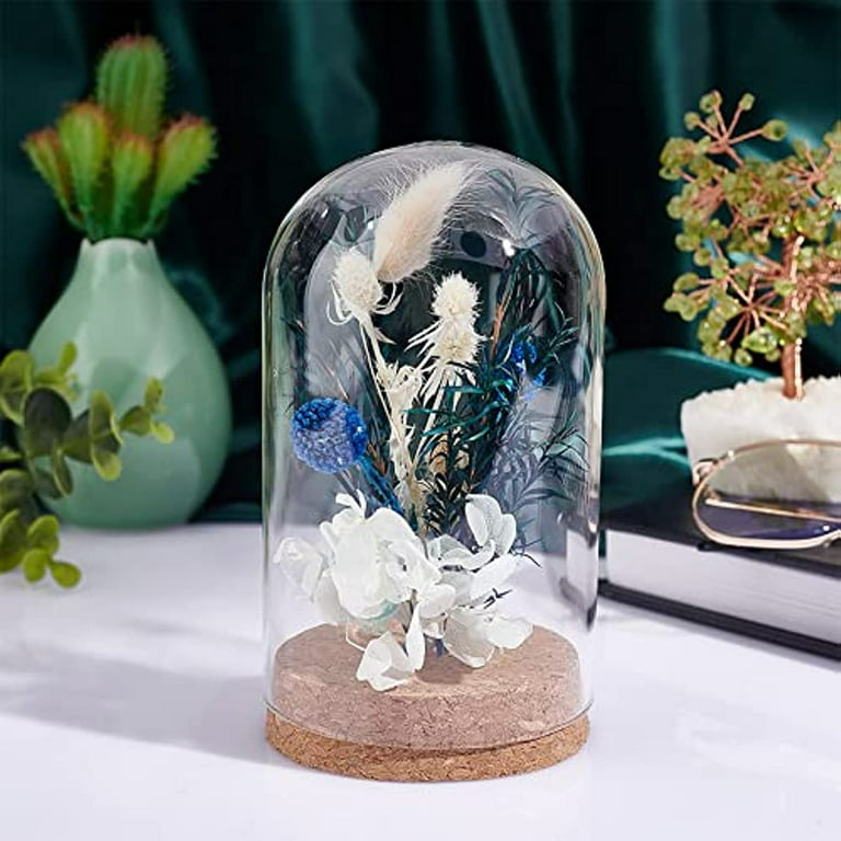 Glass Dome Cloche H-14, 21 Decorative Showcase Display for Antique  Collectibles Bell Jar Terrarium & Dessert Cover