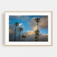 thumbnail image 2 of Seal Beach Palms - Seal Beach California Photography Unframed Wall Art Print 12 x 18 inches, 2 of 7