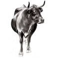 thumbnail image 2 of Parker, Jennifer Paxton 26x32 Gold Ornate Wood Framed with Double Matting Museum Art Print Titled - Charcoal Cattle I, 2 of 4
