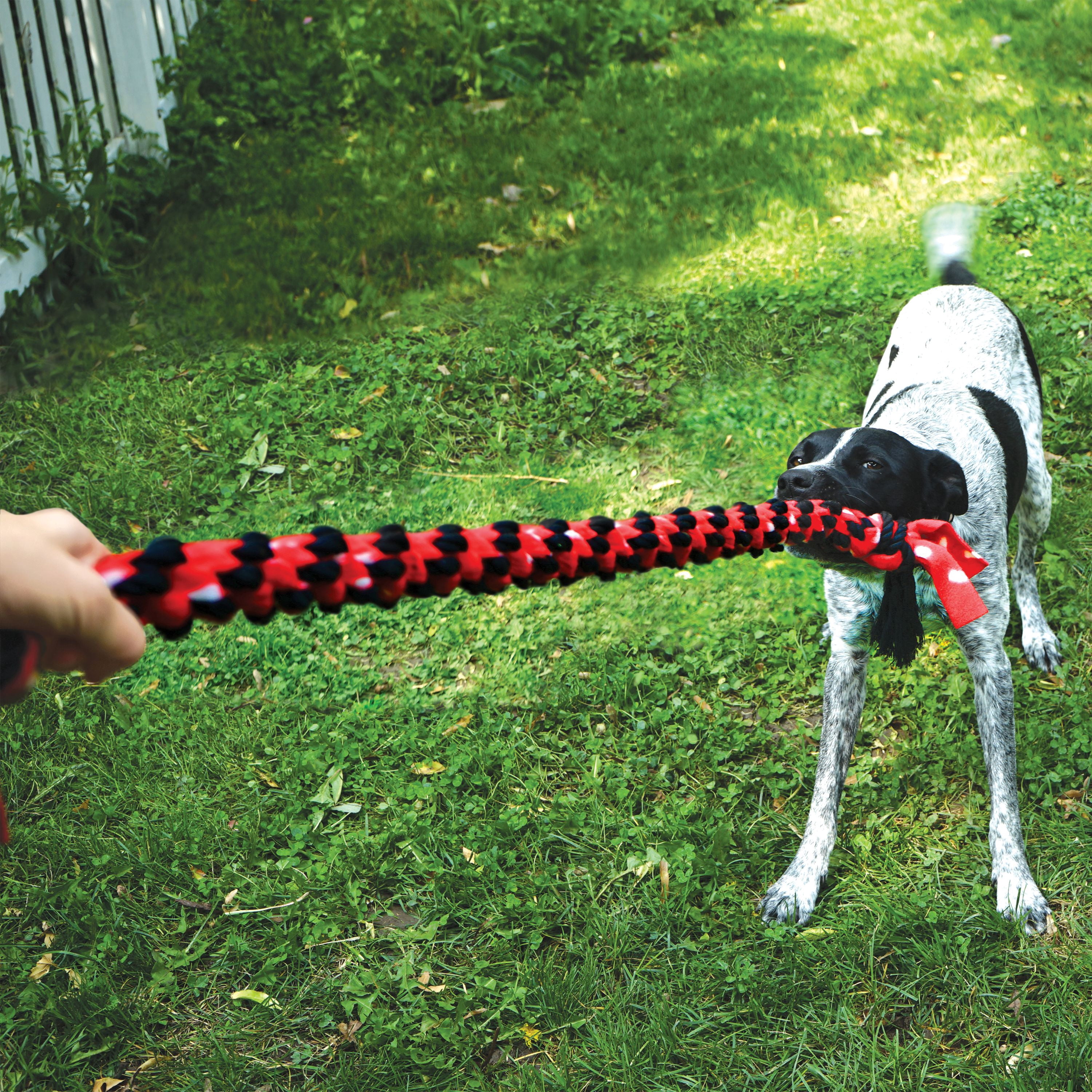 KONG® Signature Rope Double Tug Dog Toy, Large