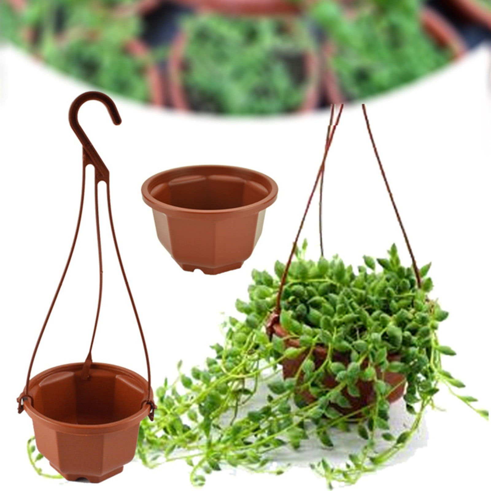 LYINGF Hanging Small Plastic Hanging Plant Pot Basket Hanging Flower Pots with Hole for Outdoor Indoor Garden Balcony Small Plants,Watering Hanging Planters Indoor Flower Pots