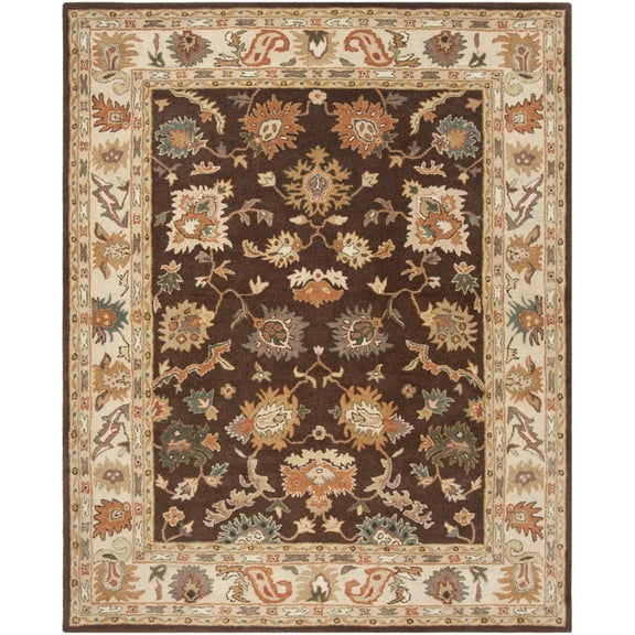 SAFAVIEH Bergama BRG136B Handmade Brown / Ivory Rug