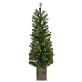thumbnail image 3 of Celebrations 4 ft. Slim LED 50 ct Mixed Pine Color Changing Entrance Tree, 3 of 3