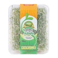 thumbnail image 1 of Germiando de Alfalfa San Francisco 200 GR, 1 of 4