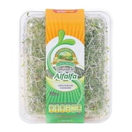 Pan Things Pan de granos enteros Oroweat Thins multigrano 255 g | Walmart en línea