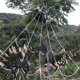 thumbnail image 4 of Tela de araña triangular de Halloween Tela de seda de araña negra de simulación de algodón (D), 4 of 9