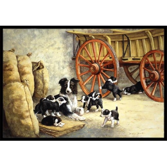 Border Collie Dog Litter Indoor or Outdoor Mat- - 24 x 36