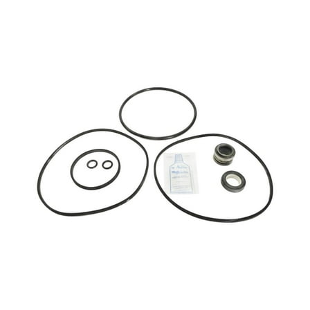 APC APCK1008 Pump Seals & Gaskets for R/RC Series Pumps