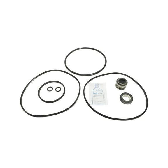 APC APCK1008 Pump Seals & Gaskets for R/RC Series Pumps