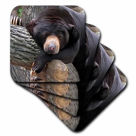 

Oh Man What a Day Black Bear set of 8 Coasters - Soft cst-11586-2