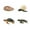 O, variant on Cameland 4 Piece Insect Figure Animal Life Cycle Plastic Brood To Mature Period