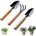 thumbnail image 1 of Jinsinto 3 Pcs Mini Garden Tools, Garden Tools, Gardening Tool Set, Wooden Garden Tool Set, Home Planting Kit, for Weeding, Soil Loosening, Transplanting, Planting, 1 of 5