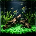 thumbnail image 6 of Glow Stone, 5x9mm Mini Fluorescent Pebbles,Luminescent Gravel, Versatile Aquascaping Material for Fish Tank Vase Filler Gardening and Indoor Decoration, 6 of 6