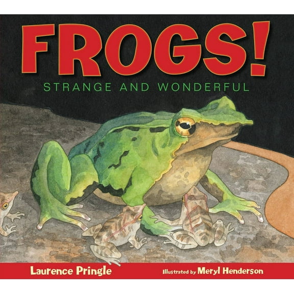 Strange and Wonderful: Frogs! : Strange and Wonderful (Hardcover)