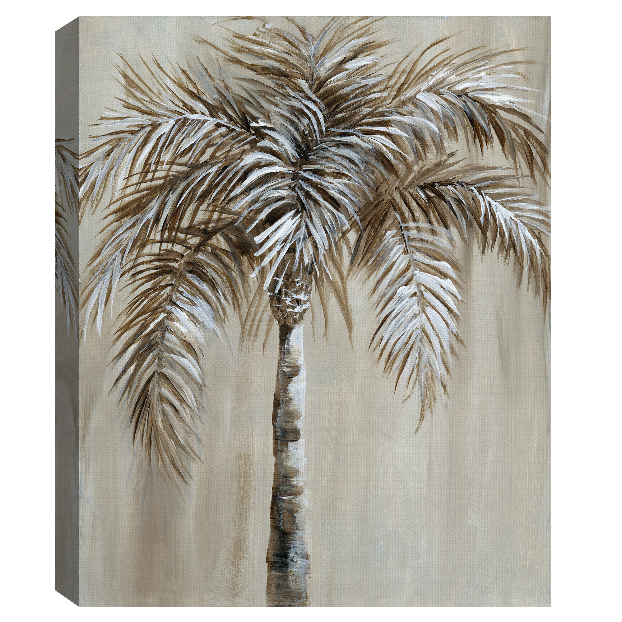 Masterpiece Art Gallery Palm Magic I By Nan Canvas Art Print 22" x 28"