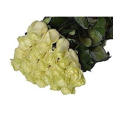 KaBloom: 25 White Roses, Next-Day Delivery, Gift for Every Occasion.