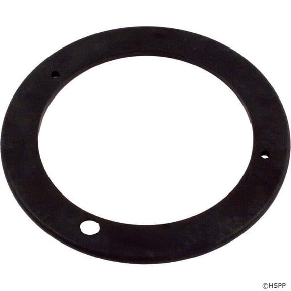 Pentair 355317 Mount Plate Replacement Specialty and Swimming Pool Inground Pump