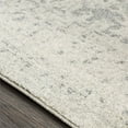 thumbnail image 4 of Surya Harput HAP-1024 144 x 216" Rectangle Fabric Rug in Charcoal/Gray/Beige, 4 of 7