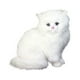 thumbnail image 2 of Simulation Toys Toys Simulation Models Children's Gifts, 2 of 7