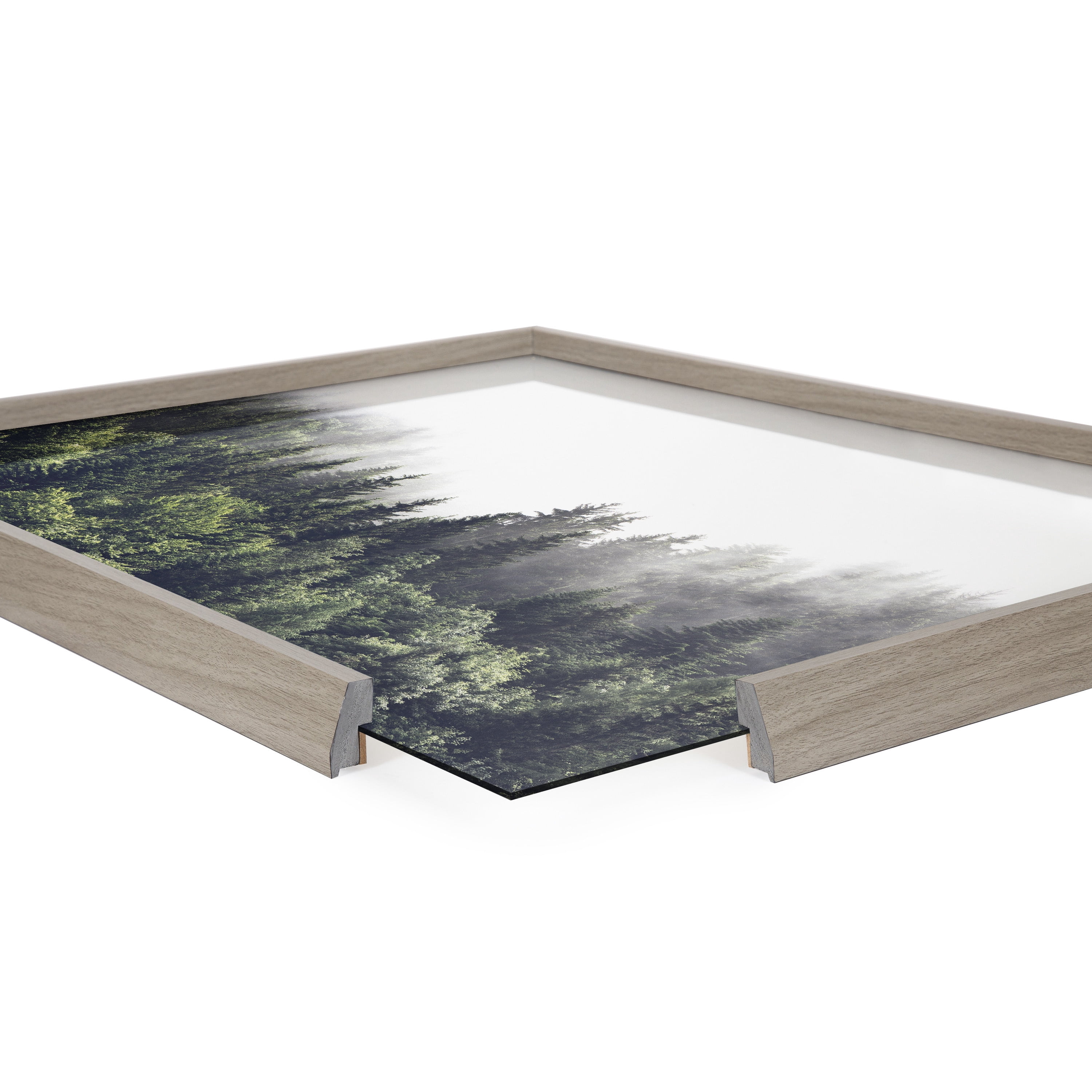 Blake Lush Foggy Green Forest 24 in x 18 in Framed Photography Art Prints, by Kate and Laurel