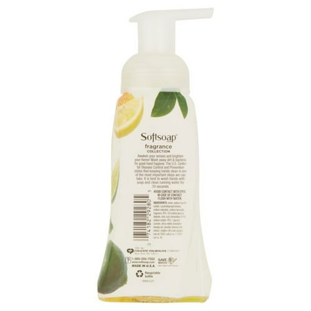 softsoap kitchen citrus bliss