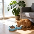 thumbnail image 4 of SHENGXINY Stainless Steel Cat Food Bowl and Water Bowl Set - Frog Shaped Double Stainless Steel Bowls, Dual Food Water Feeder for Small Medium Dogs & Cats Blue 10.63x5.91x1.57in, 4 of 6