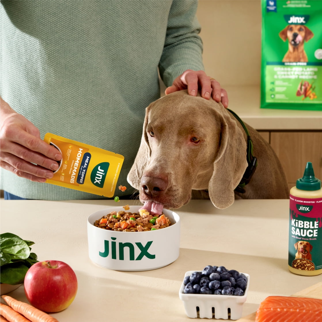 Jinx Homemades Single Serve Value Pack Wet Natural Dog Food, Grain-Free, 8–3 oz Pouch