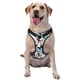 thumbnail image 1 of Balery Butterfly Arnés para Perros Grandes Antitirones, Arnés con Correa para Gato, Arnés Tipo Chaleco para Perros Pequeños-Small, 1 of 6
