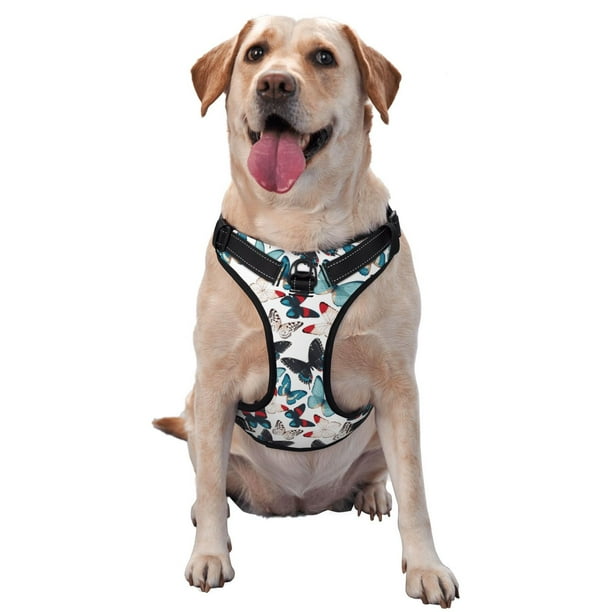 Balery Butterfly Arnés para Perros Grandes Antitirones, Arnés con Correa para Gato, Arnés Tipo Chaleco para Perros Pequeños-Small