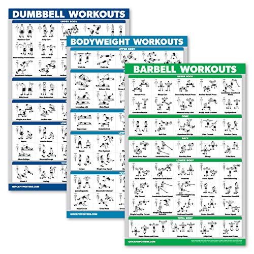 3 Pack Set of 3 W Dumbbell Workouts Posters Volume 1 & 2 Barbell Exercises 