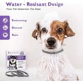 thumbnail image 4 of Collar Calmante De Feromonas Para Perros,3paquetes,ajustable, 4 of 7