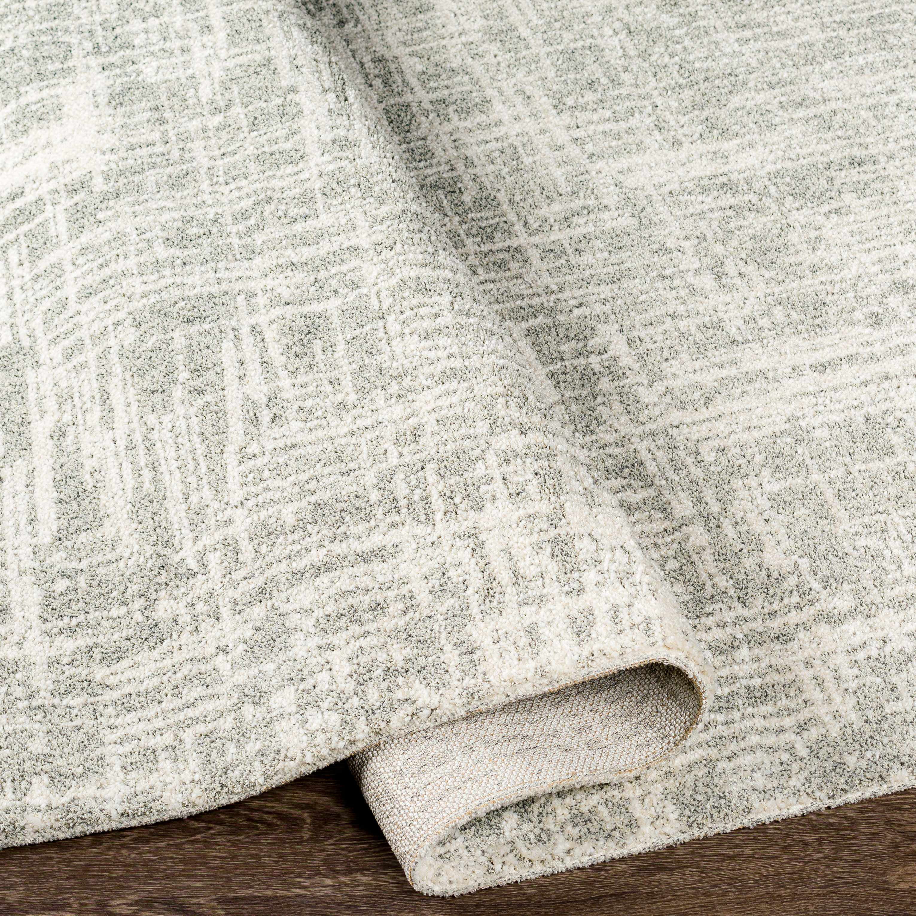Hauteloom Cowbridge Living Room, Bedroom Area Rug - Contemporary - High Pile - Charcoal, Cream, Peach - 2' x 3'
