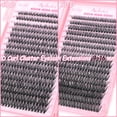 thumbnail image 4 of Kit de racimos de pestañas OLLAVO, 640 unidades, 9-16 mm, rizos en D, esponjosos, 4 of 6
