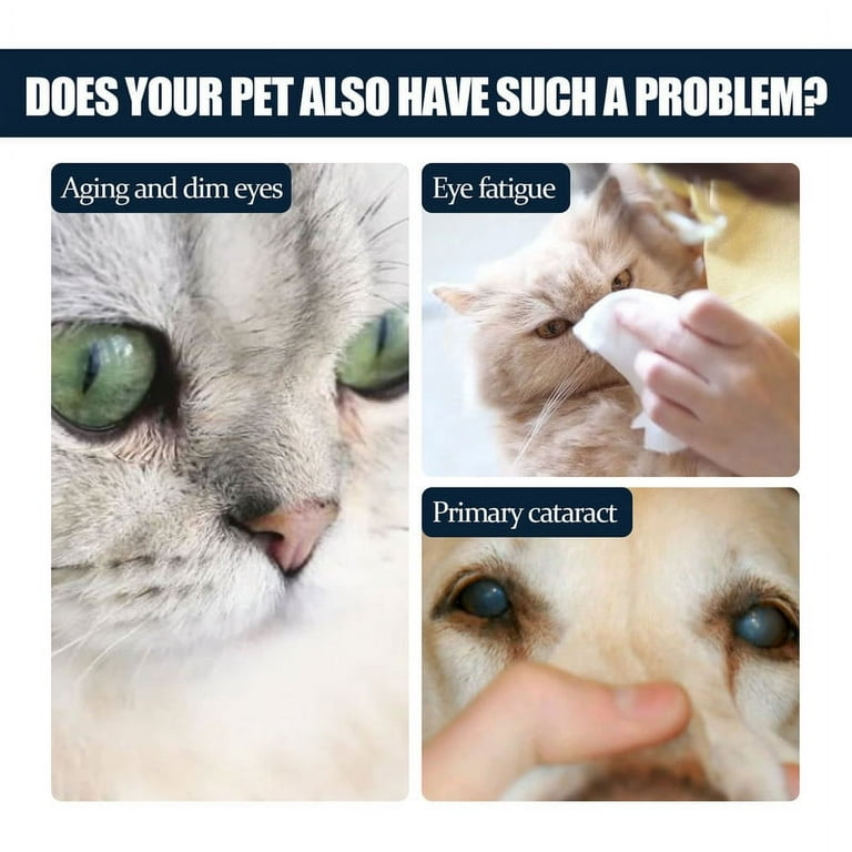 Cat eye drops antibiotic walmart sale