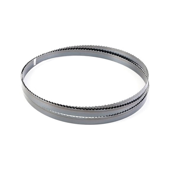 Premium Band Saw Blade for Meat/Bone/Fish Cutting - 142" x 5/8" x .022" 3TPI (2 Pack)