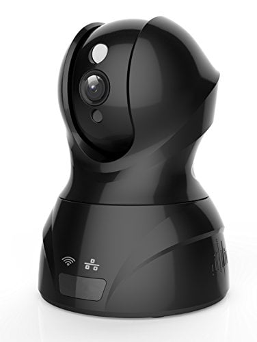two way video pet monitor
