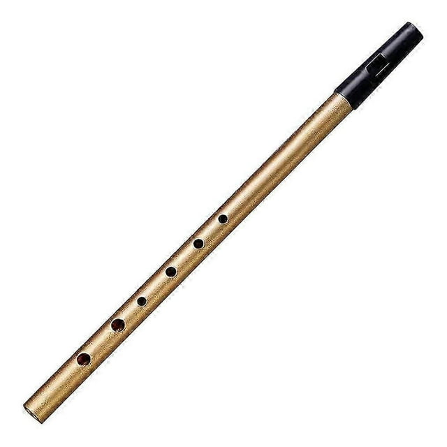 Irish C/D Tin Whistle - Traditional Celtic Folk Instrument for Beginners | Easy-to-Play