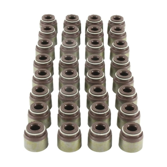 DNJ VSS649 Valve Stem Seals Fits Cars & Trucks 04-16 Infiniti Nissan Armada 5.6L V8 DOHC 32v