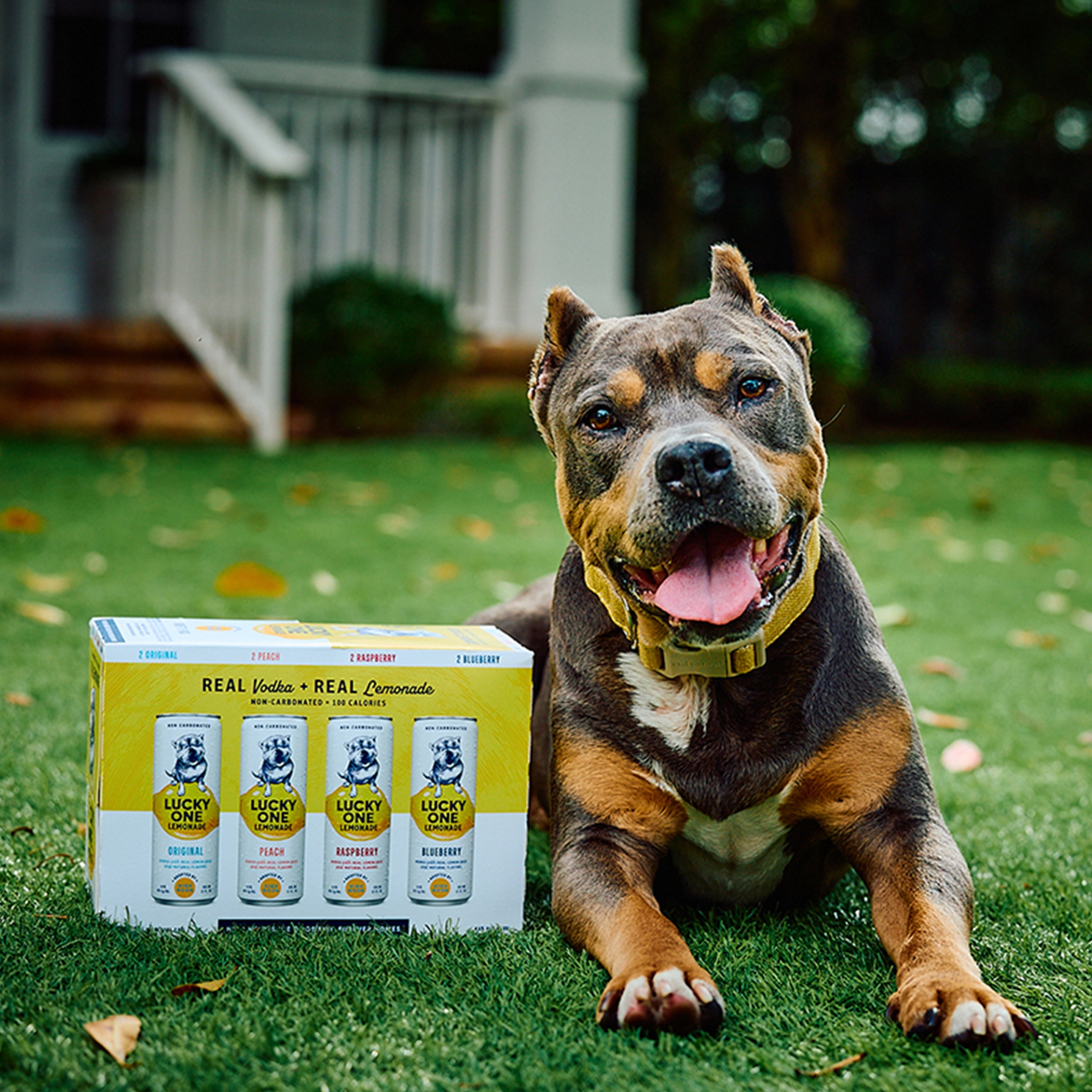 Lucky One Vodka Lemonade Variety Pack, 8 Pack, 12 fl oz Single