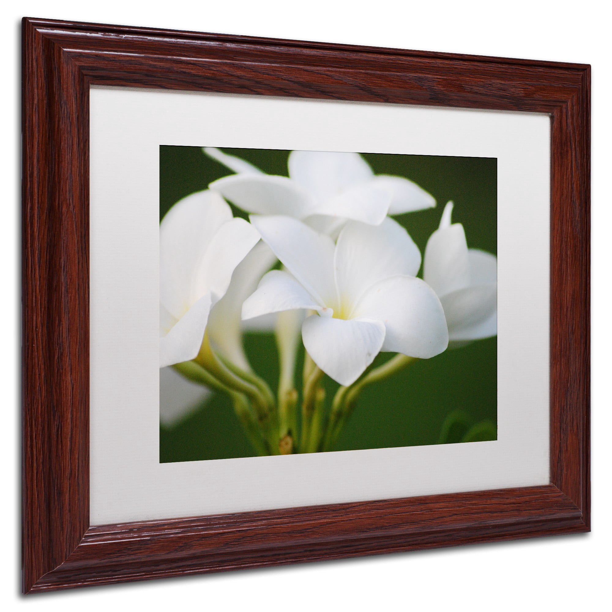 Trademark Fine Art "Picture Perfect" Canvas Art by Monica Mize, White Matte, Wood Frame