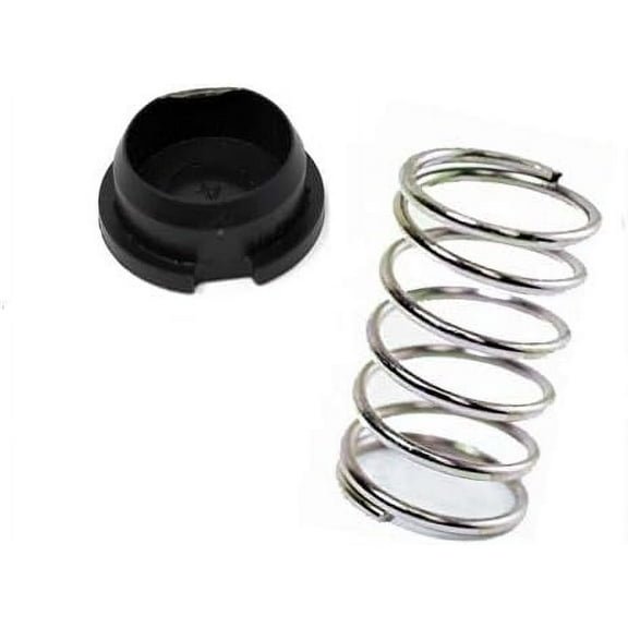 Echo Genuine OEM Spring and Cap - Combo