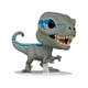 thumbnail image 1 of Funko Pop Exclusivo Funko Shop Movies Jurassic World Dominion: Velociraptor Blue Funko Funko Pop, 1 of 3