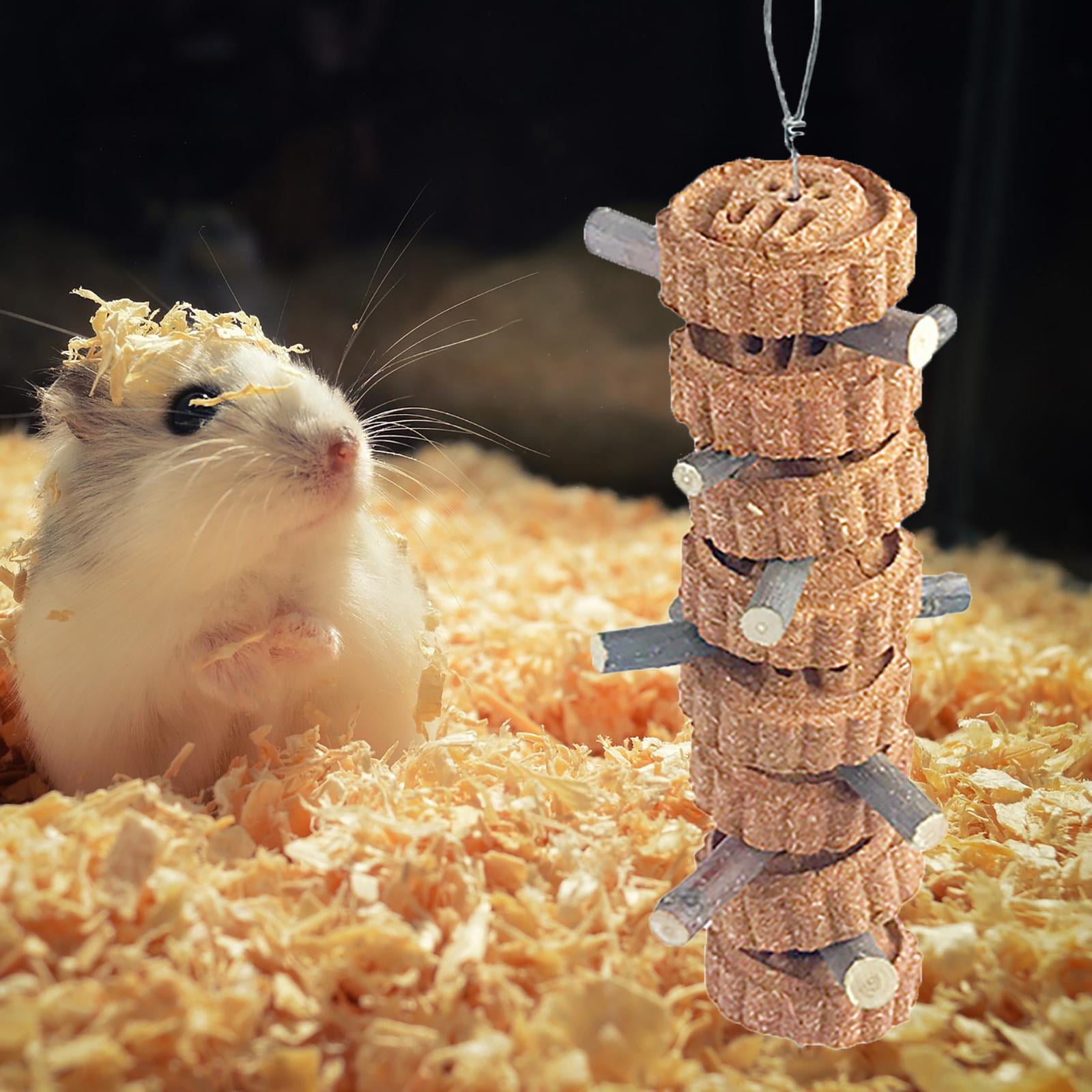 Hamster Chew Toys Tooth Cleaning Cage Hanging Small Animals