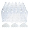 thumbnail image 1 of Botellas de refresco Steve Spangler, paquete de 30 unidades, para experimentos científicos, 1 of 4